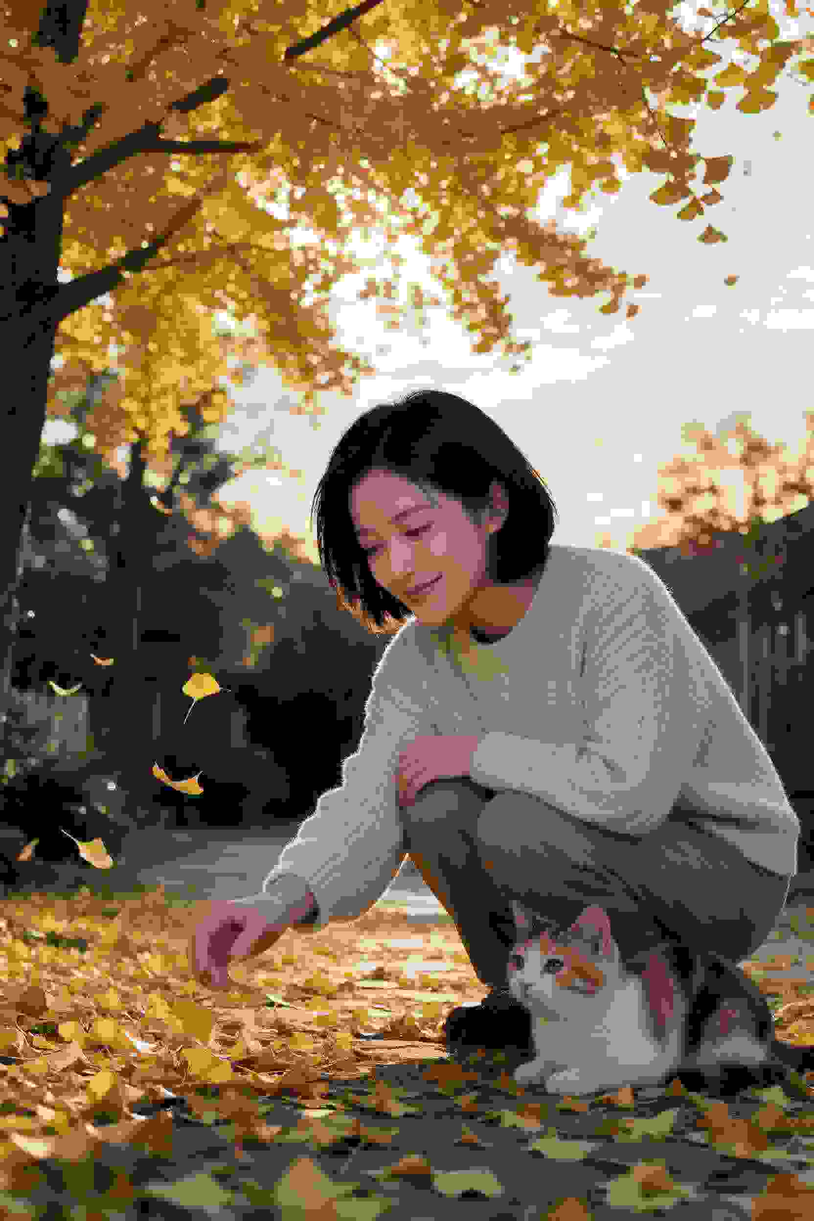 校园双修青春记